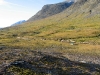 Sarek2008_290.JPG