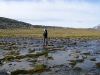 Sarek2008_299.JPG