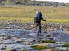 Sarek2008_300.JPG