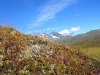 Sarek2008_308.JPG