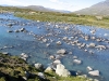 Sarek2008_310.JPG