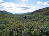 Sarek2008_328.JPG