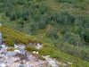 Sarek2008_345.JPG