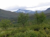 Sarek2008_350.JPG